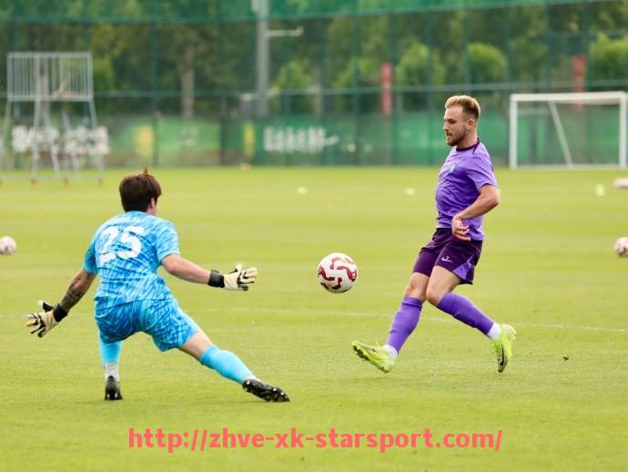 星空体育-意甲球队输给意乙球队的历史事件回顾