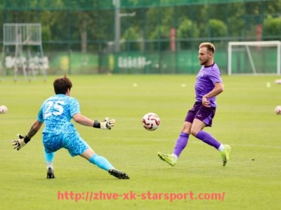 星空体育-意甲球队输给意乙球队的历史事件回顾